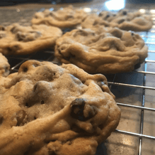 Chocolate Chip